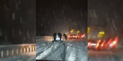 Mardin-Diyarbakır karayolunda kar engeli