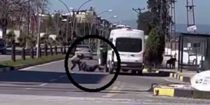 Korku dolu anlar kamerada: Yere yatırdığı minibüs şoförünü defalarca yumrukladı
