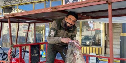 Çüngüş’te 100 kiloluk turna balığı yakalandı