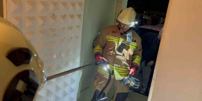 Camide görülen yılan yakalandı