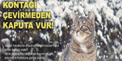 Soğuktan korunmak için girdiği araçta sıkışan kedi kurtarıldı