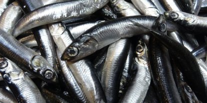 Savaş halindeki ülke ihracatta ilk sırayı aldı