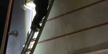 Klima motoruna sıkışan yavru kedi kurtarıldı