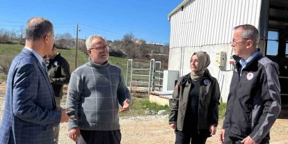 Müdür Ayvalık, üreticilerle tarım ve hayvancılığı inceledi