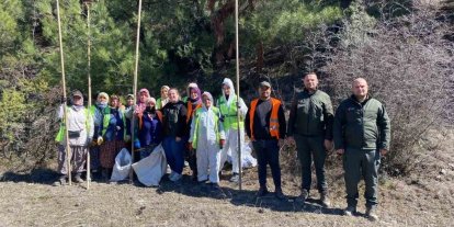Sinop ormanlarında zararlılara karşı biyolojik savaş