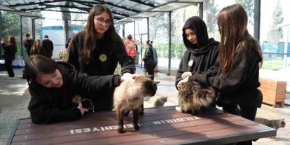 Gençerlerden patili canlara ziyaret