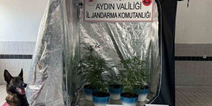 Jandarma narkotik affetmedi