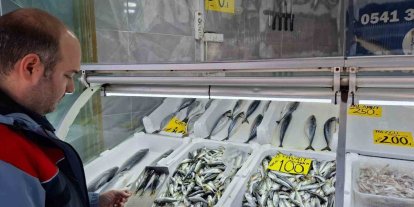 Yasak öncesi balık satış yerleri denetlendi