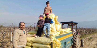 Sarıgöl bağlarında gübreleme çalışmaları başladı