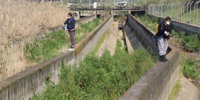 Nazilli Belediyesi sivrisinek ve haşereyle mücadeleye kesintisiz devam ediyor