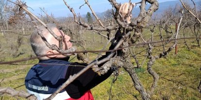 Simav’da yem bitkileri ve hububat ekili alanlarda verim çalışması yapıldı