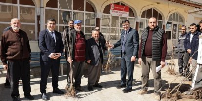 Kütahya’da yerel kiraz türleri yeniden toprakla buluşuyor