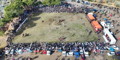 Burhaniye’de deve güreşleri Pelitköy sahasında yapılacak