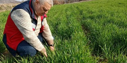 Simav’da tarımsal çalışmalar sürüyor