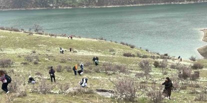 Bahar çiçeği nergisler doğaseverlerin ilgi odağı oldu