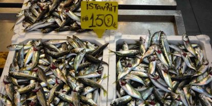 Bayram öncesi balık tezgahlarında bolluk