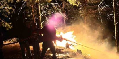 Hatay’da ormanlık alanda çıkan yangın büyümeden söndürüldü