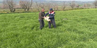 Bilecik’te yaralı leylek yetkililere teslim edildi