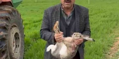 Diyarbakırlı çiftçi, tarlada yakaladığı gebe tavşanı yaşam alanına bıraktı