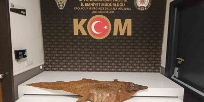 Polis durdurduğu araçta timsah derisi ele geçirdi