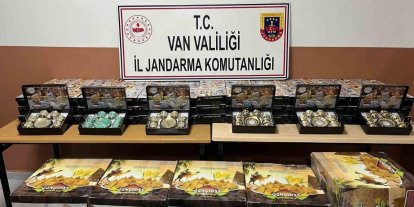 Van’da gümrük kaçakçılığı operasyonu