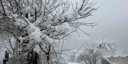 Hakkari’de 82 yerleşim yerinin yolu kapandı