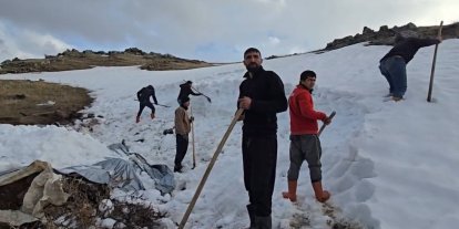 Ağrı Dağı eteklerinde kar depolama mesaisi