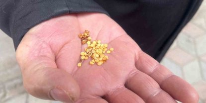 Ata tohumlarla tarımın hafızasını yaşatıyor