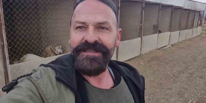 Yavru kangal gönlünü Sibirya kurduna kaptırdı