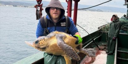 Gelibolu açıklarında ağlara takılan caretta caretta denize geri salındı