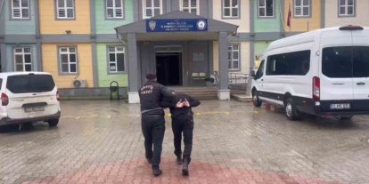 Antakya’da canlı hayvan çalan şüpheli yakalandı