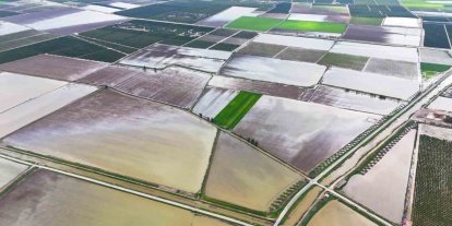 Çukurova’yı yağmur vurdu: Tarım arazileri sular altında