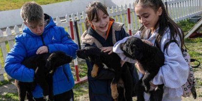 İzmir’de 2 bin 300 patili yuva bekliyor