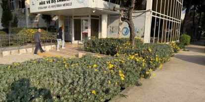 Dokuz Eylül Üniversitesi Diş Sağlığı Merkezi yeşil kartlı hasta kabulüne başladı