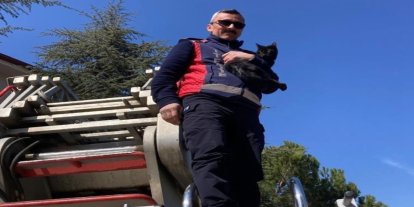 Ağaçta kalan kediyi itfaiye kurtardı