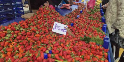 80 TL’lik çileğe yoğun ilgi