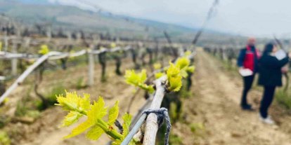 Salihli’de yağışlar Ölükol riskini artırdı