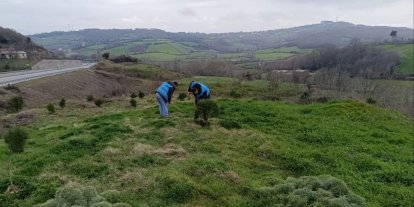 Sinop’ta yükümlülerden geleceğe nefes