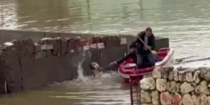 Su taşkınında evde mahsur kalan köpek, vatandaşların bindiği botla kurtarıldı