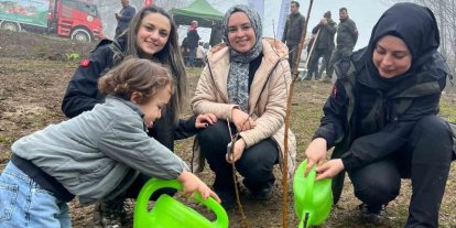 Türkeli’de yüzlerce fidan toprakla buluştu