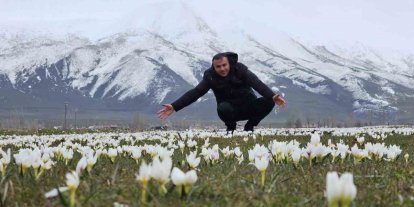 Bitlis’te baharın müjdecisi kardelenler açtı