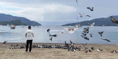 Marmaris’te güvercinler kışın boşalan sahili mesken tuttu
