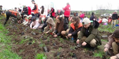Bafra’da minik eller 3 bin fidanı toprakla buluşturdu