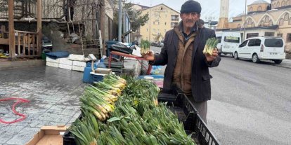 Hakkari’de yılın ilk pancarları tezgâhlarda yerini aldı