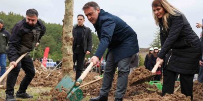 Şeyh Edebali’nin vefatının 700. yıl dönümünde 700 çınar toprakla buluştu