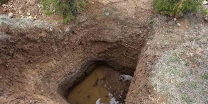 Ankara’da kaçak kazının yapıldığı çukura düşen köpek kurtarıldı