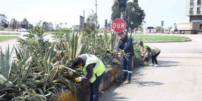 Hatay Büyükşehir Belediyesi bitkide dışa bağımlılığı en aza indirmeyi hedefliyor