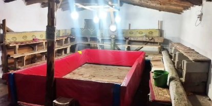 Muş’ta horoz dövüşü yapan 23 kişiye ceza