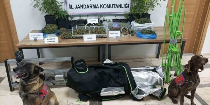 Eskişehir’de uyuşturucu operasyonu