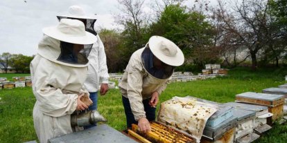 Kış uykusundan uyanan arılar Erzincan’da yeni sezona hazırlanıyor